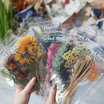 6 buah / Tas Ukuran Besar Toko Bunga Akhir Pekan Buku Pegangan Tanaman Bunga Kering Stiker Dekoratif PVC